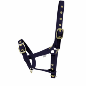 Hy Equestrian Foal Head Collar