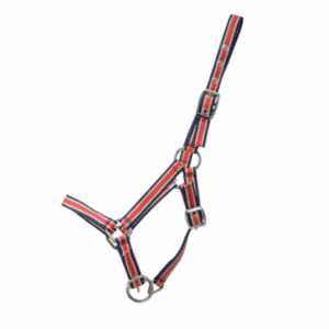 Hy Foal Plus Headcollar