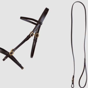 Cameo In Hand Bridle & Lead