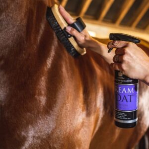 Carr & Day & Martin Dream Coat