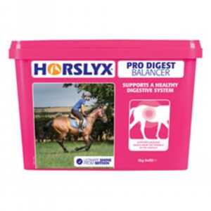 Horslyx Pro Digest Balancer