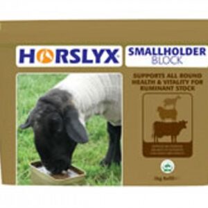 Horslyx Small Holder