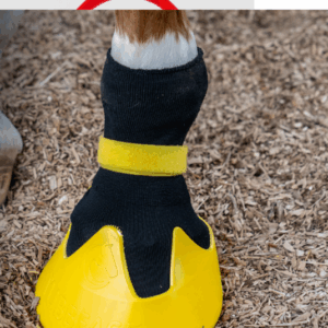 Shoof Tubbease Hoof Sock
