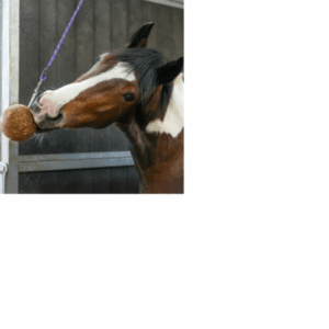 Likit Granolo Stall Ball