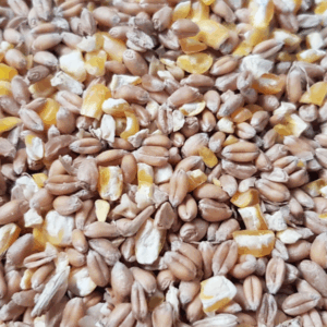 Robinwood Mixed Corn