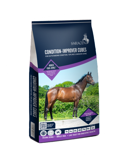 Saracen Condition Improver Cubes