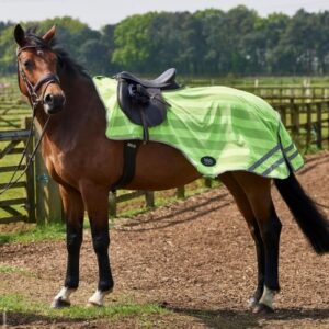 Firefoot Reflective Mesh Exercise Sheet