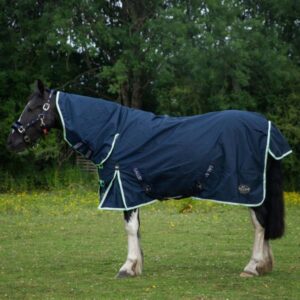 Gallop Trojan Duraproof Lightweight Turnout Combo