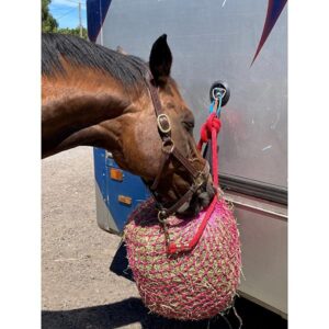 Elico Little Piggy Haynet Large