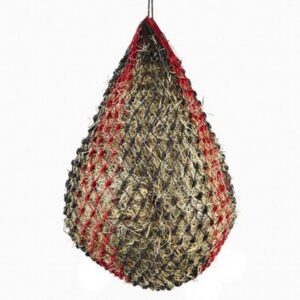 Elico Newquay Haynet