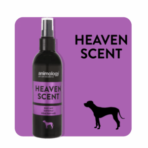 Heaven Scent, by Animology, is a feminine and floral fragrance body mist for dogs with long lasting notes of Neroli and Peony.

No Alcohol
No Sulphates
No Parabens
No Silicones
