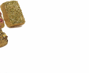 our unique and popular Wellness Gnaw Stones!