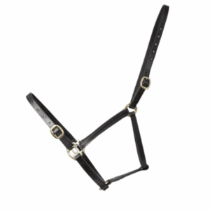 HY Leather Foal Headcollar