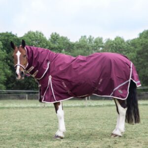 Gallop Trojan Xtra Duraproof 100g Combo Turnout