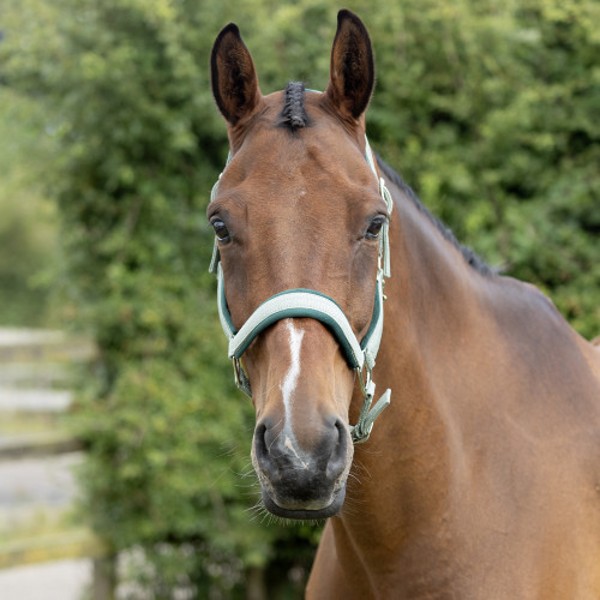 Hy Equestrian Mermaid Shimmer Head Collar & Rope - Image 2