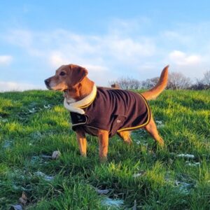 Supreme Products Royal Occasion Fleece Dog Coat