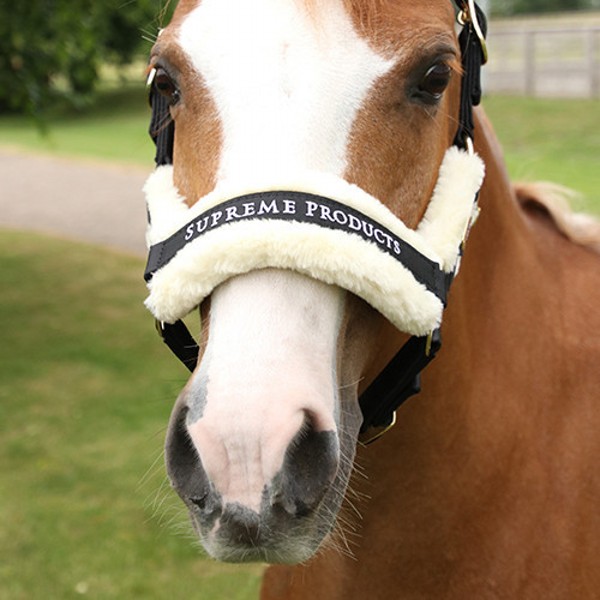 Supreme Products Royal Occasion Head Collar - Image 2