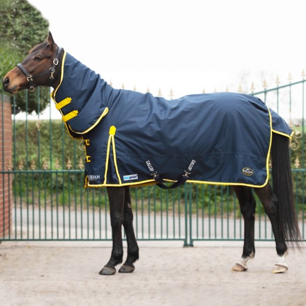 Gallop Trojan Duraproof Turnout Rug Combo 200g