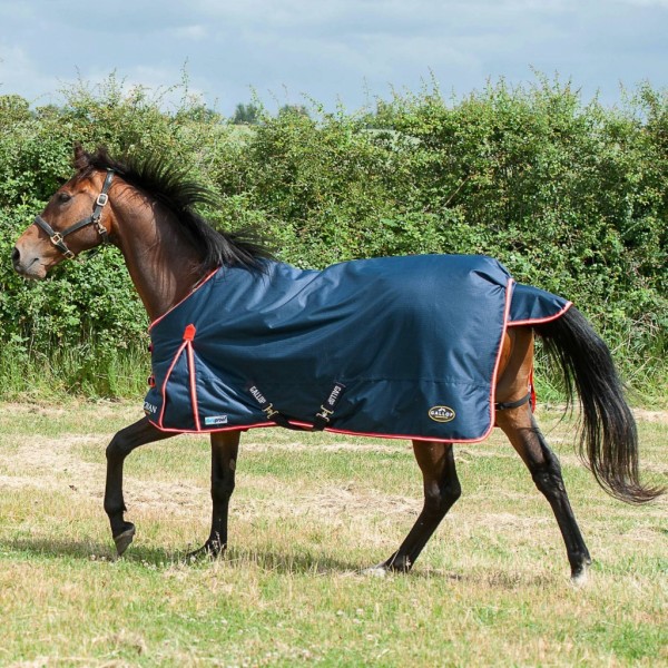 Gallop Trojan Duraproof Turnout 200g