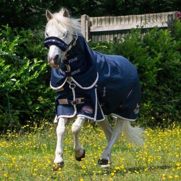 Gallop Ponie Duraproof 100g Turnout Combo - Image 6