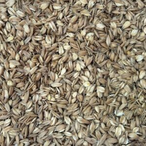 MMF Micronised Cooked/Rolled Oats