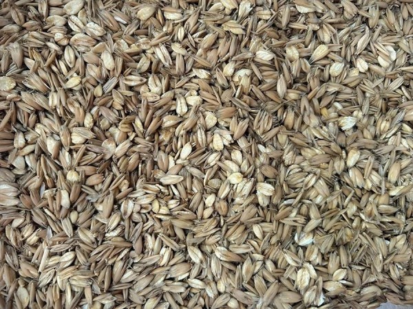 MMF Micronised Cooked/Rolled Oats