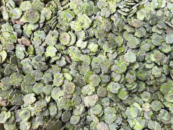MMF Micronised Flaked Peas