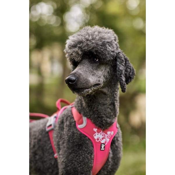 Hurtta Weekend Warrior Harness Ruby - Image 4