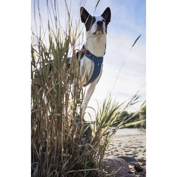 Hurtta Weekend Warrior Warming Harness Eco Bilberry - Image 5