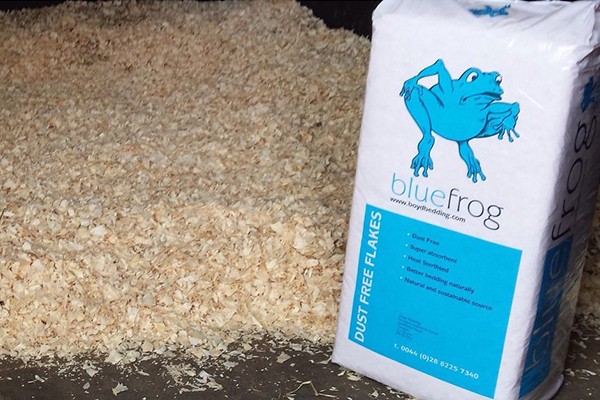 Blue Frog Shavings