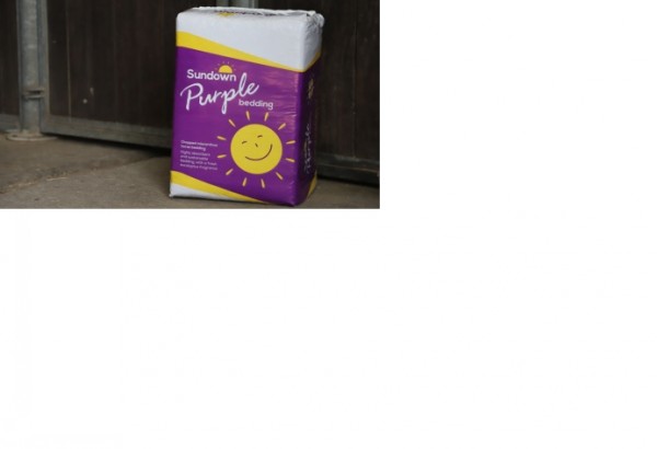 Sundown Purple Bedding