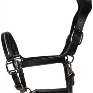 Cameo Competition Headcollar & Rope
