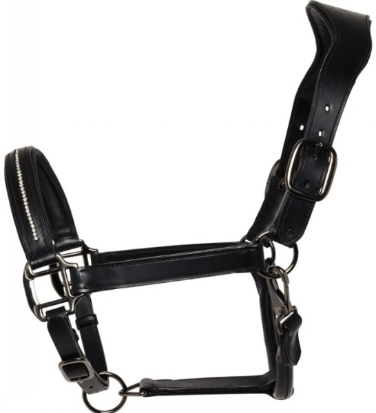 Cameo Competition Headcollar & Rope