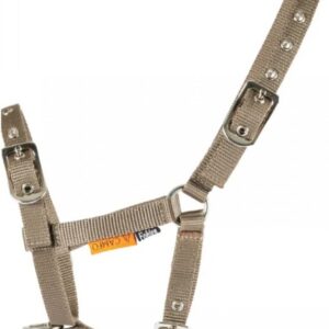 Cameo Foal Headcollar