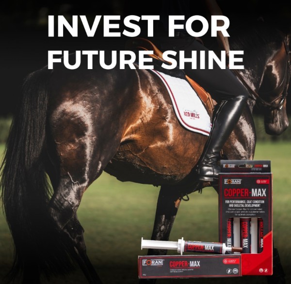 Foran Equine Copper-Max Paste - Image 3