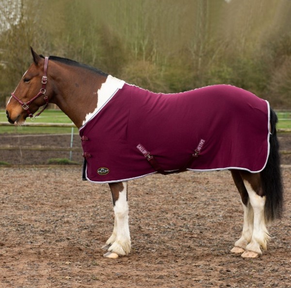 Gallop Premium Jersey Cooler - Image 3