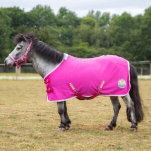 Gallop PONIE Tiddlywinks Jersey Cooler