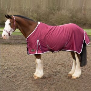Gallop Burgundy Summer Sheet