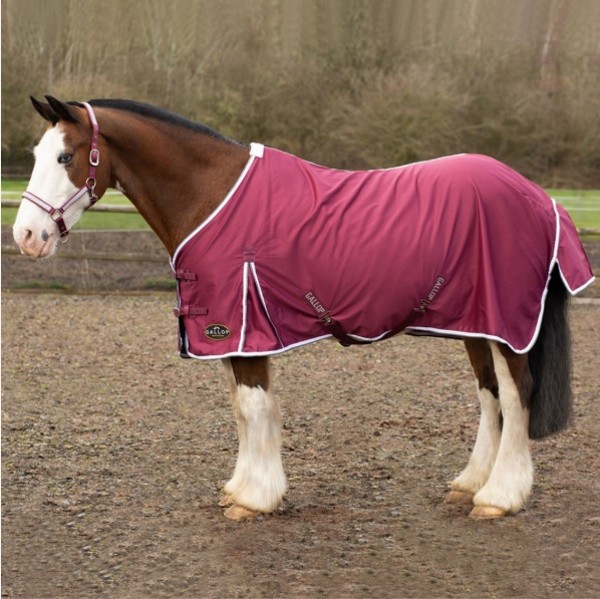 Gallop Burgundy Summer Sheet