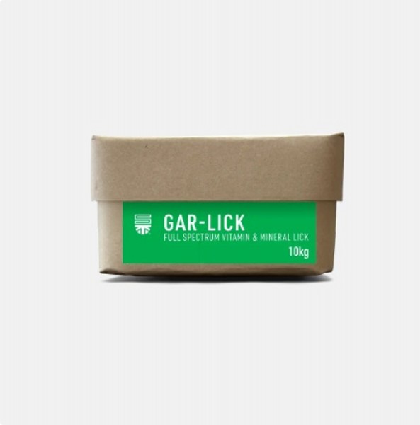 Saracen Gar-Lick
