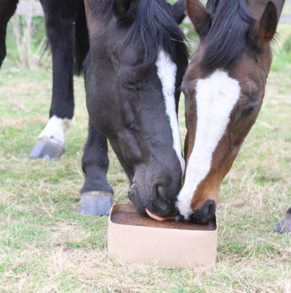 Saracen Gar-Lick - Image 3