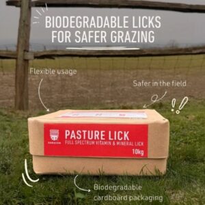 Saracen Pasture Lick
