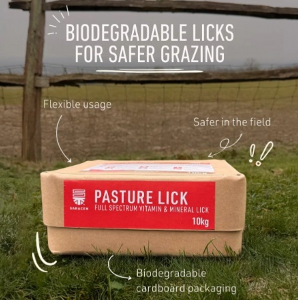 Saracen Pasture Lick
