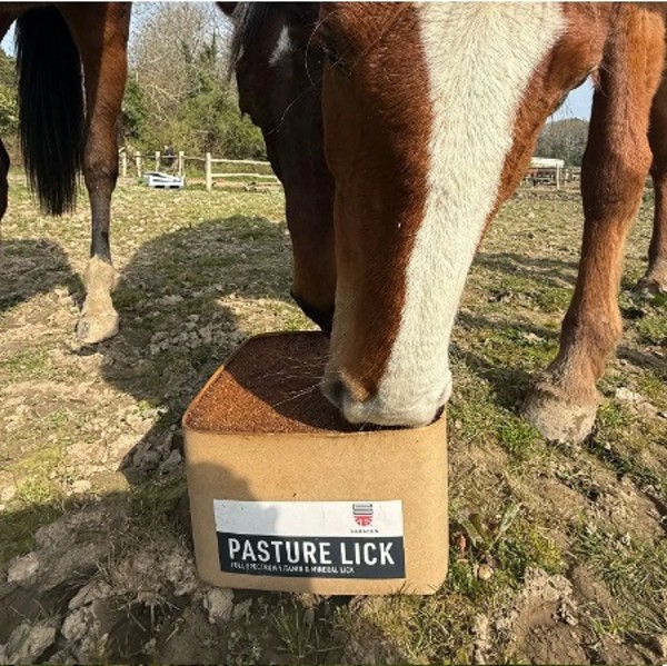 Saracen Pasture Lick - Image 4