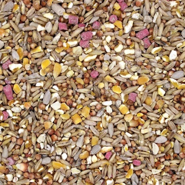 BTF Wheat Free Robin & Blackbird