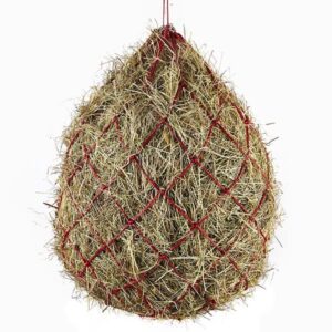 Elico Bodmin Haynet